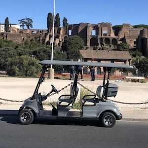 golfcartpalatinesmallersquare